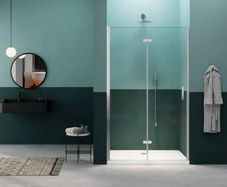 Shower Door