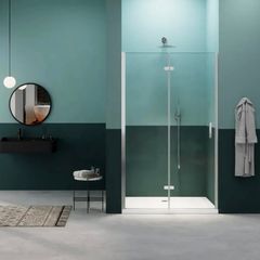 Shower Door
