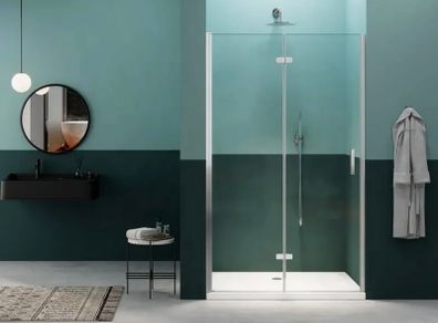 Shower Door