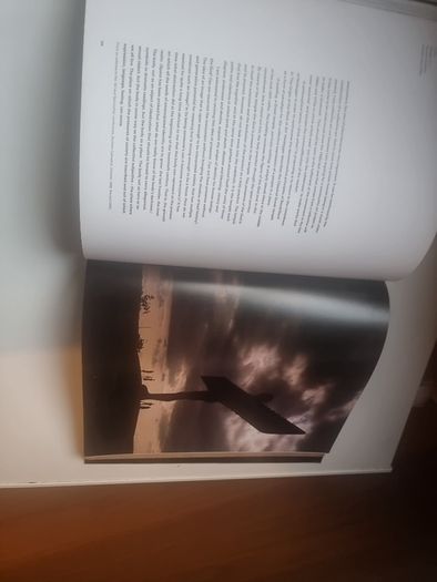Antony Gormley by John Hutchinson, Lela B. Njatin, E. H. Gombrich and W. J. T. Mitchell