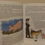 Magic Emerald - Reading Book: Night Horse Image 6