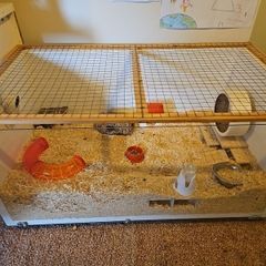 Hamster Cage with accessories (can discuss price)