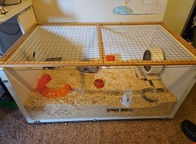 Hamster Cage with accessories (can discuss price)