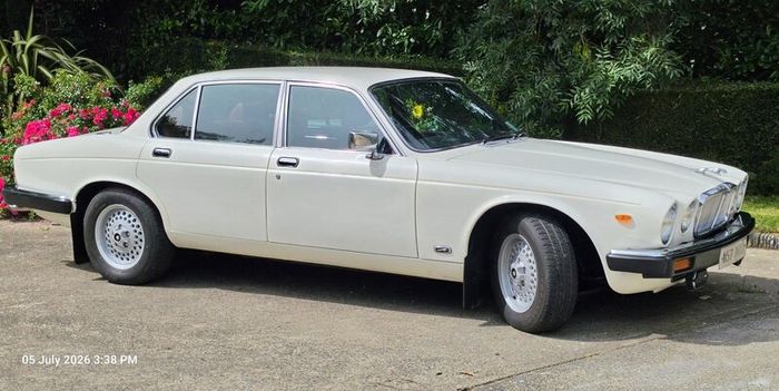 Jaguar XJ 1980 (Perfect wedding car)