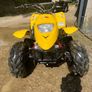 Quad Image 4