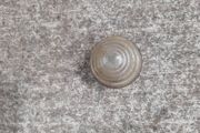 Indicator lens clear