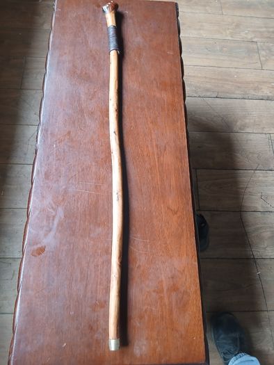 Walking stick