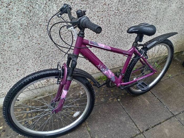 Women Bicycle  -Jewel Mountain Bike Purple Size L