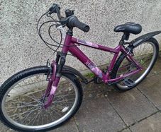 Women Bicycle  -Jewel Mountain Bike Purple Size L