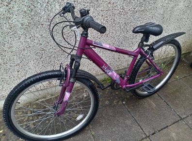 Women Bicycle  -Jewel Mountain Bike Purple Size L