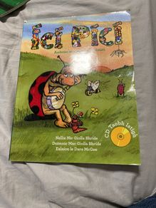 Irish language children's book