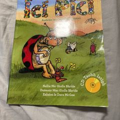 Irish language children's book