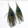 Eye-catching Peacock Feather Earrings Image 4