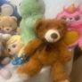 Teddies Image 4