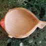 Vintage italian pebble lava trinket dish Image 2