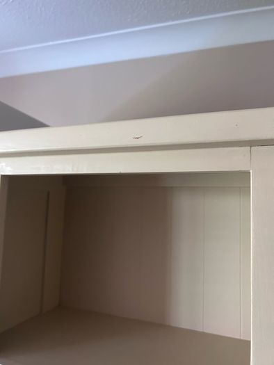 Tall bookcase/shelf unit