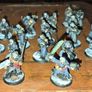 Valhallan Army Image 2