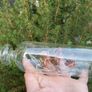 Ship in a Bottle Image 5