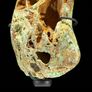 Mineral Form - Green Smithsonite Image 6