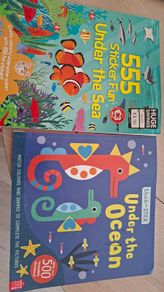 Sticker books