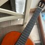 Beautiful Sheffield Classical Guitar Image 9