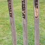 cricket stumps Image 4