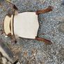 Antique Dining Chairs Image 10