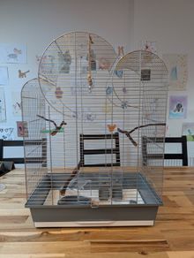bird cage