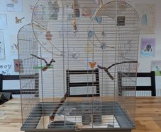 bird cage