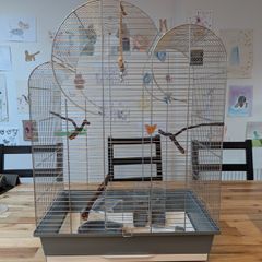 bird cage