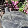 18ct bronze  army skillet pot Image 8