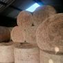 Hay for sale.  Organic Image 3