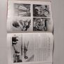 Hutchinson's Pictorial History of the War edited by Walter Hutchinson Image 3