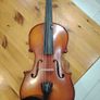 Violin Image 8