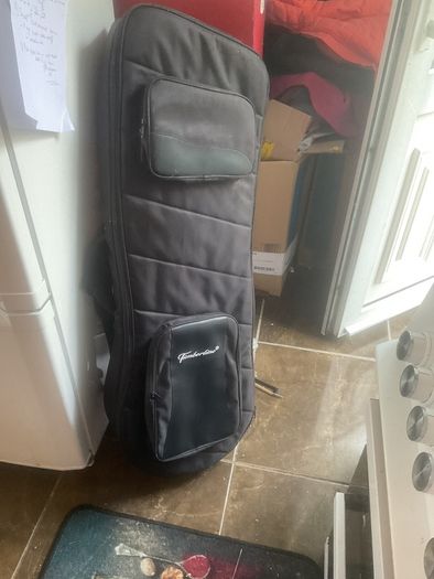 Timberline harp guitarwith its own robust case