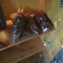 african art pieces Image 6