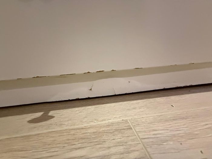 Hemnes drawer bed Ikea