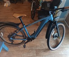 Electric bike, eBIG NINE 400