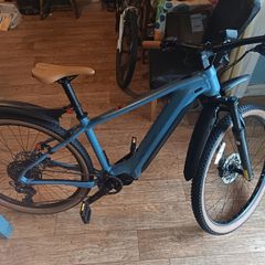 Electric bike, eBIG NINE 400