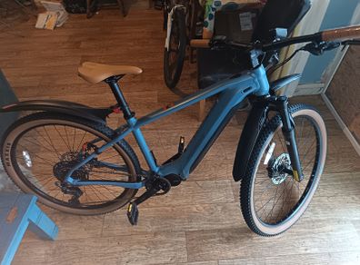 Electric bike, eBIG NINE 400