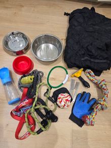 Dog Accessory Bundle: Bowls, Leashes, Grooming, Car Cover