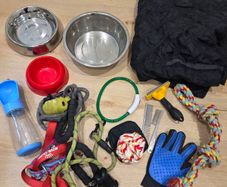 Dog Accessory Bundle: Bowls, Leashes, Grooming, Car Cover
