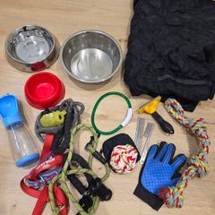 Dog Accessory Bundle: Bowls, Leashes, Grooming, Car Cover