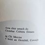Storytelling In Irish Tradition. Scealaiocht In Eirinn. By Sean O Suilleabhain. First Edition Paperback Booklet 54 Pages. In Good Condition.  See Photos For Same. Image 2