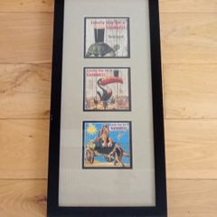 Guinness Advertising Picture