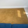 rug Image 3