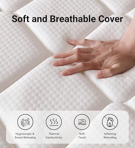 Double Mattress 4FT6