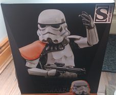 Hot Toys Stormtrooper Commander TMS041 The Mandalorian Figure 1/6 Leader