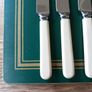 Newbridge Cuttlery 6 Knives Bone Handles Image 3