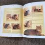 book caring for your cat Image 4